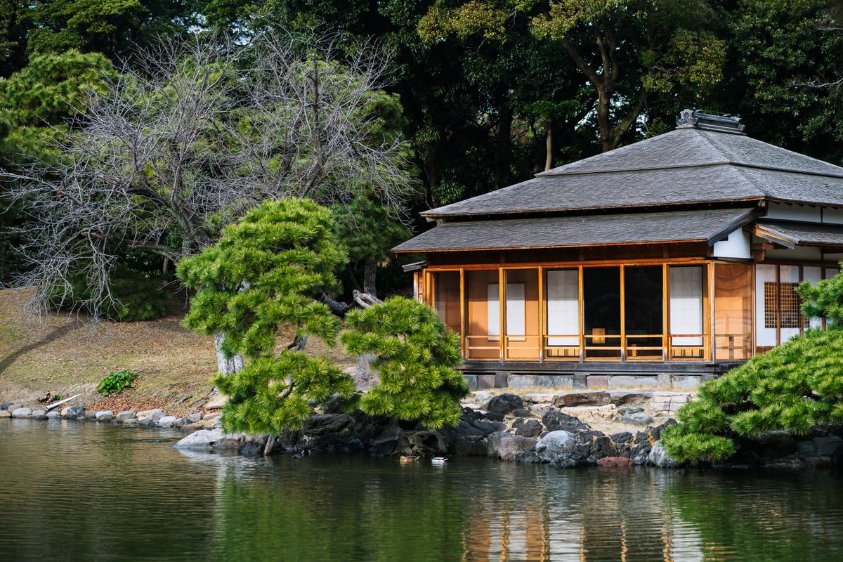 水辺に建つ木造平屋の外観